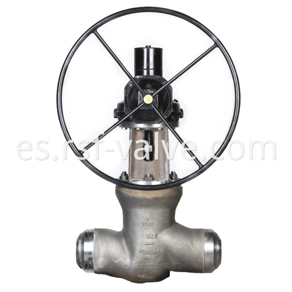 Psb Globe Valve